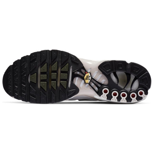 Nike Air max plus TN